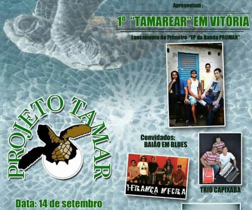 Grupo IDEIAS participará de evento na sede do Projeto Tamar