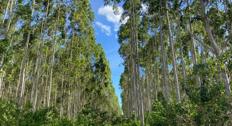 Equipe Social realiza reconhecimento de território no Maranhão