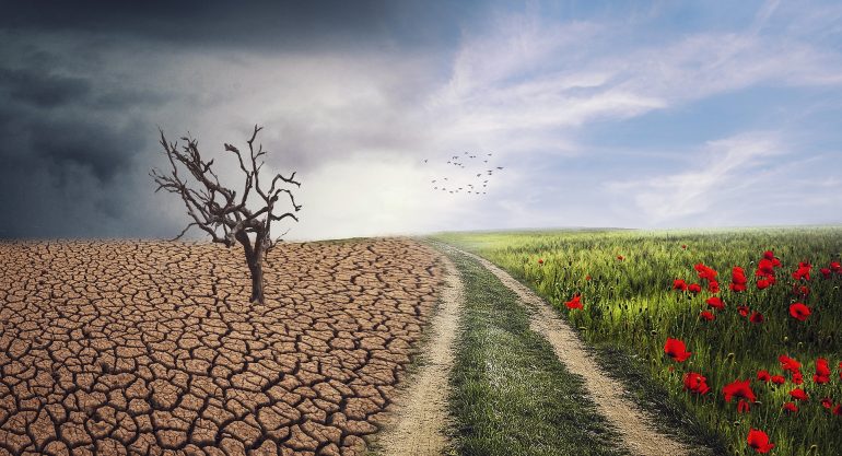 8 ideias para ajudar a frear o avanço das mudanças climáticas