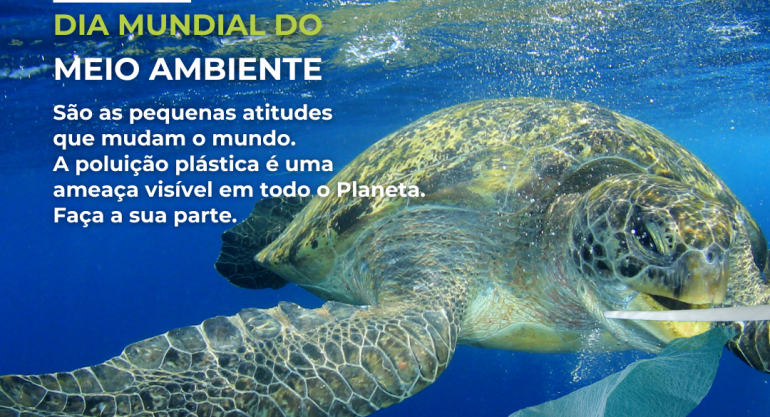 Dia Mundial do Meio Ambiente: soluções para a poluição plástica