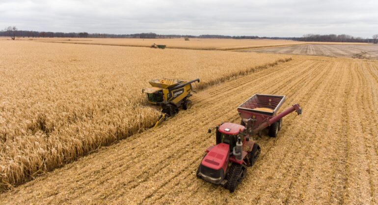 A Força do Agronegócio Brasileiro