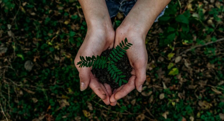 3 tendências em sustentabilidade para ficar de olho