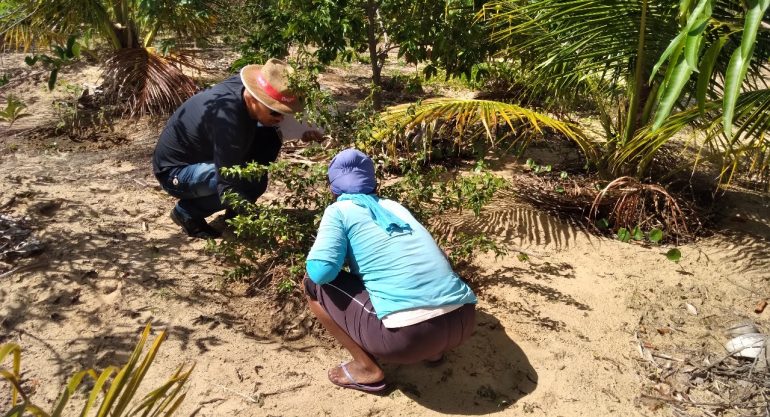 Case Aracaju: A importância do PRMS para o desenvolvimento da agricultura familiar