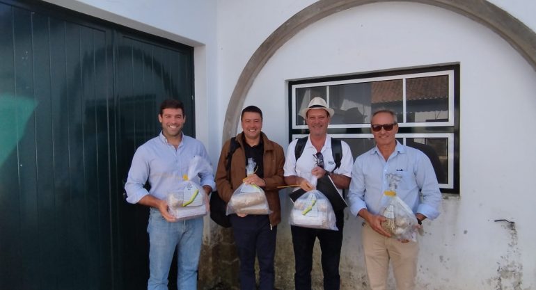 Região dos Açores recebe sementes de café brasileiras para plantio