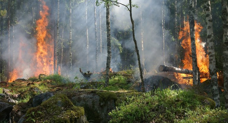 Período de estiagem aumenta queimadas no Espírito Santo