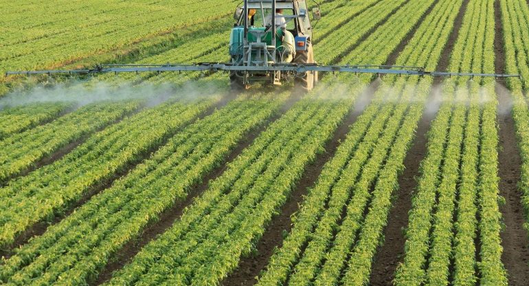 Agricultura sustentável e segurança alimentar: construindo um futuro resiliente