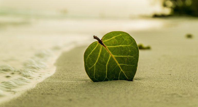 Verão sustentável: pequenas atitudes que fazem a diferença nas praias