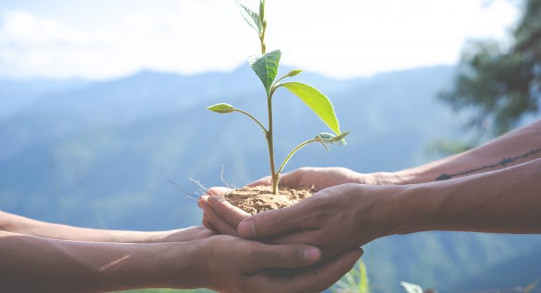Taxonomia Sustentável: Um Marco para a Economia Verde