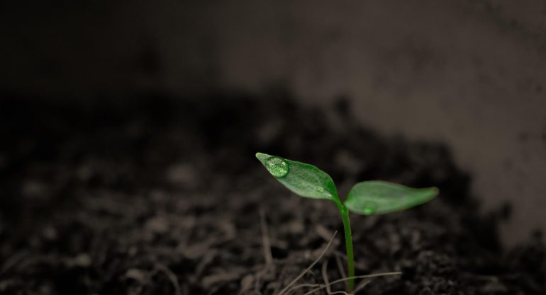 A importância da conservação do solo: um elemento essencial para a sustentabilidade ambiental e econômica