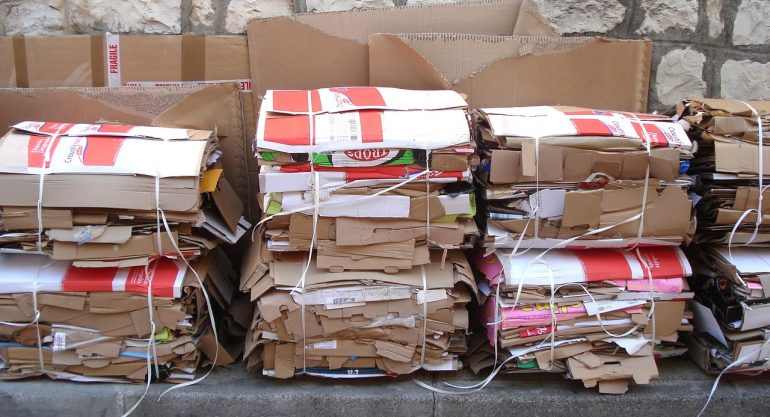 Dia da Reciclagem: sustentabilidade, inclusão e transformação social