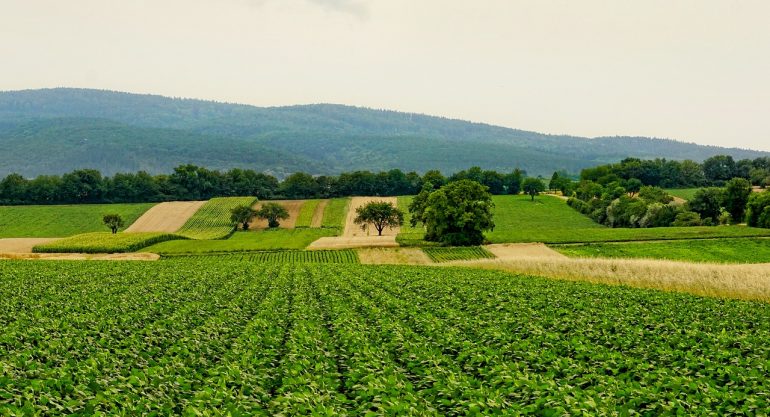 O campo corresponde a 24,8% do PIB brasileiro, afirma CNA