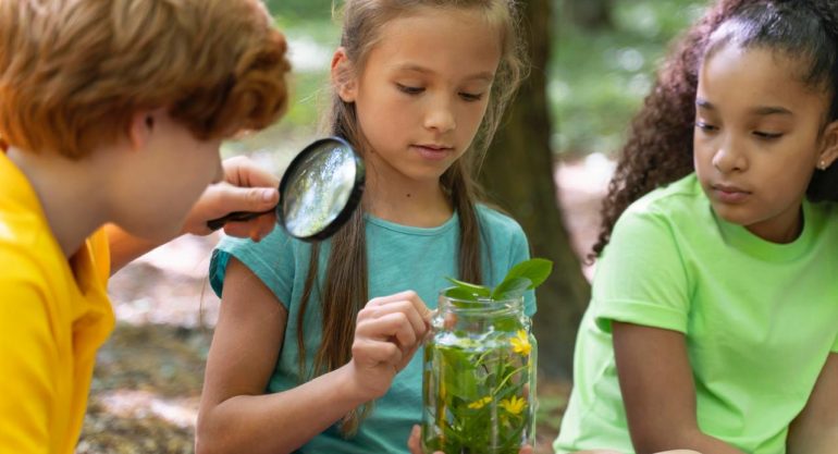 Semana do Meio Ambiente Ideias 2025: Dia Nacional da Educação Ambiental