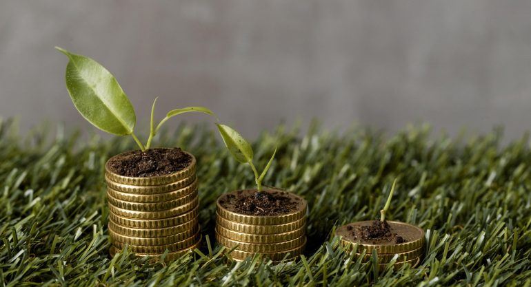 O desafio de transformar bilhões em impacto: Brasil na rota dos investimentos sustentáveis
